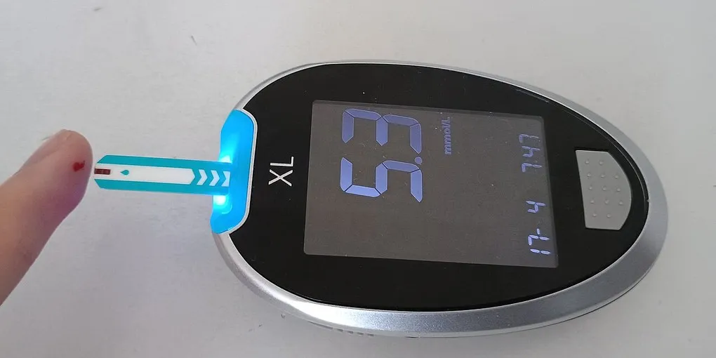 Berberine vs Metformin: Top Picks Ranked