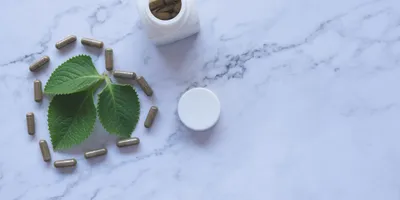 Best Bacopa Monnieri Supplement 2026: Top Picks Ranked