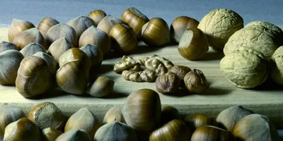 Best Magnesium Supplement 2026: Top Picks for Performance