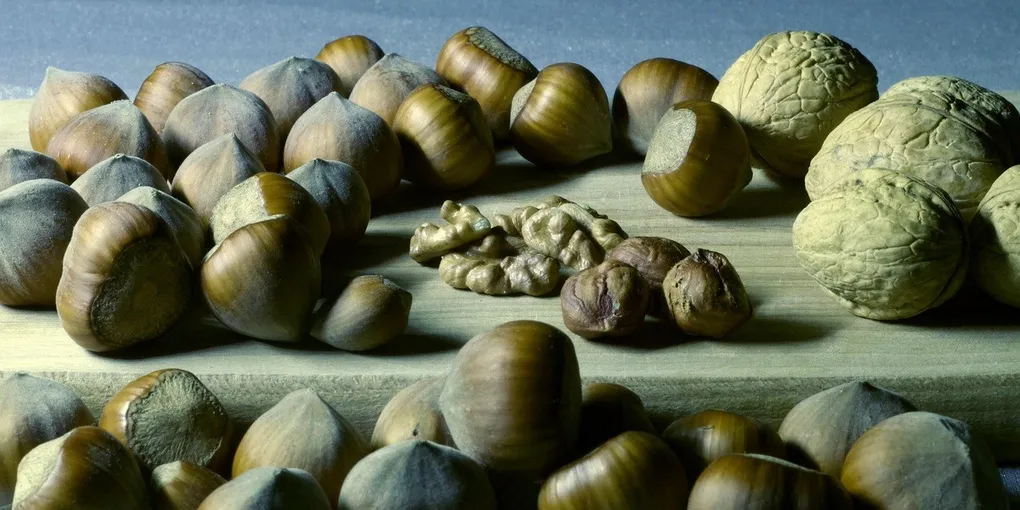 Best Magnesium Supplement 2026: Top Picks for Performance