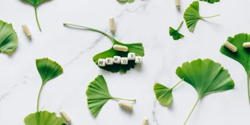 Best Nootropics for Focus 2026: Top Science-Backed Stacks