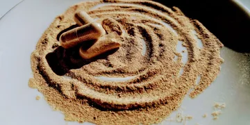 Best Plant-Based Protein Powder for Muscle and Performanc...