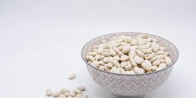 Best Protein Bar for Muscle and On-the-Go Nutrition 2026