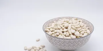 Best Protein Bar for Muscle and On-the-Go Nutrition 2026