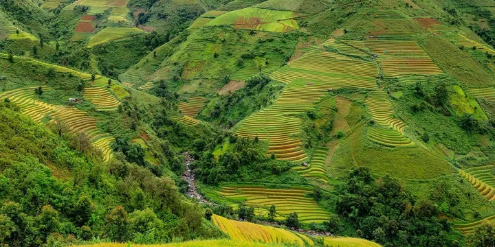 Best Red Yeast Rice Supplement 2026: Top Picks Ranked