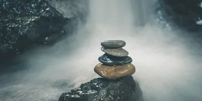 Best Senolytics Supplement Stack 2026: Top Picks Ranked