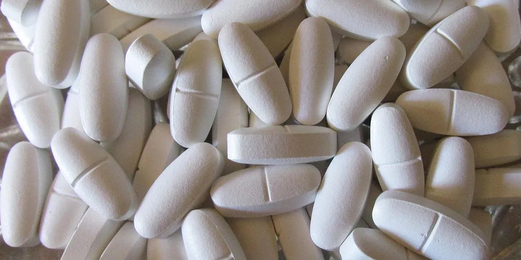 Best Supplements for Osteoporosis 2026: Top Picks Ranked