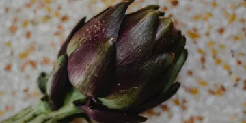 Best Artichoke Extract Supplement: Top Picks Ranked