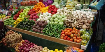 Best B Complex Supplement 2026: Top Picks for Energy & Mood