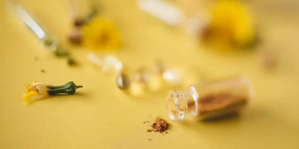 Best Colostrum Supplement 2026: Gut Health & Immunity