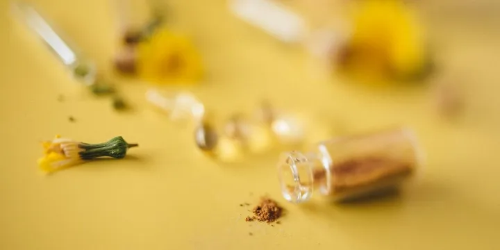 Best Colostrum Supplement 2026: Gut Health & Immunity