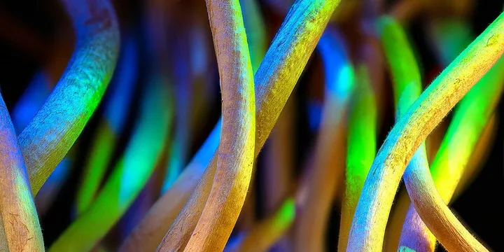 Best Cordyceps Mushroom Supplement 2026: Top Picks