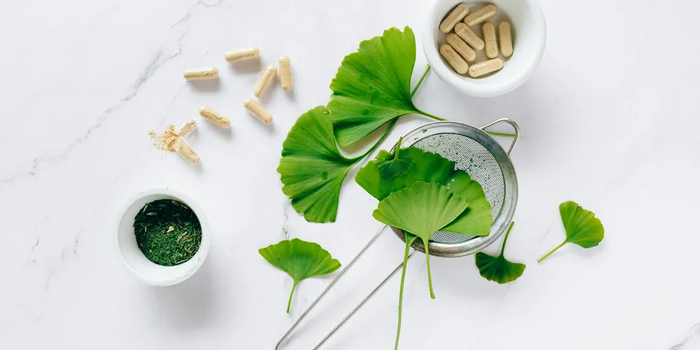 Best Ginkgo Biloba Supplement 2026: Top Picks Ranked