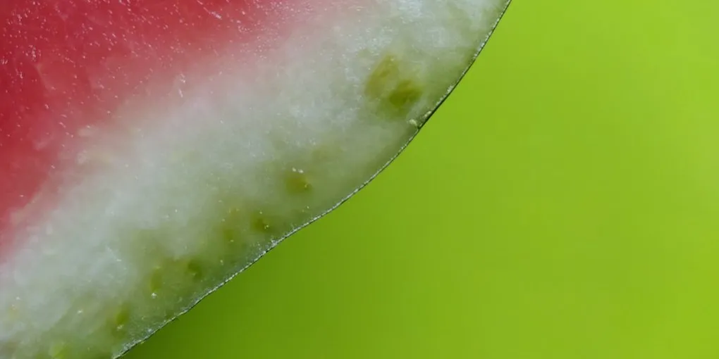 Best L-Citrulline Supplement 2026: Top Picks Ranked