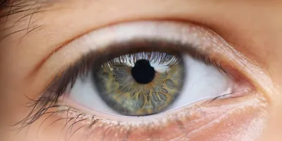 Best Lutein and Zeaxanthin Supplement 2026: Top Picks Ranked