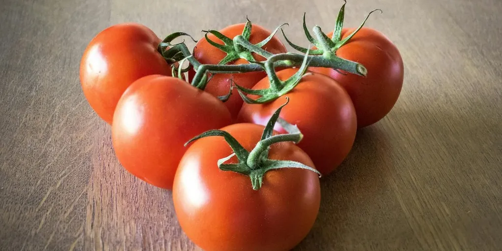 Best Lycopene Supplement: Top Picks Ranked