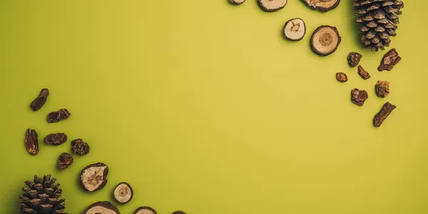 Best Pine Bark Extract Supplement (Pycnogenol): Ranked