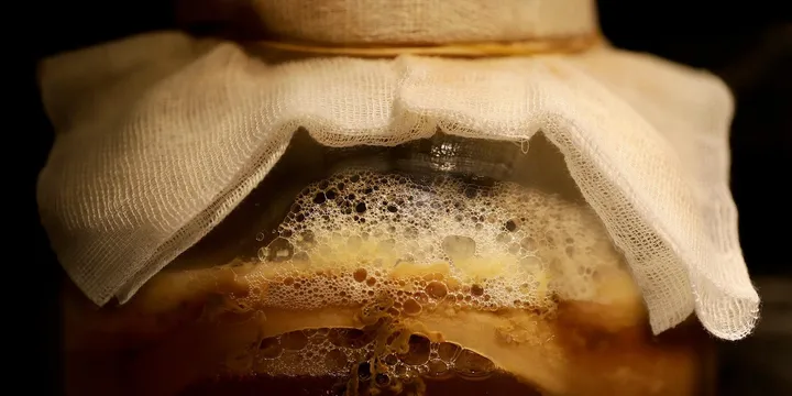 Fermented Foods vs Probiotic Supplements: Top Picks Ranked