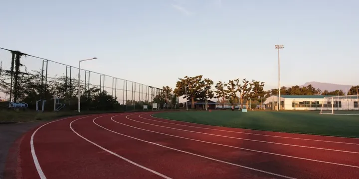 Zone 2 Training: Top Picks Ranked